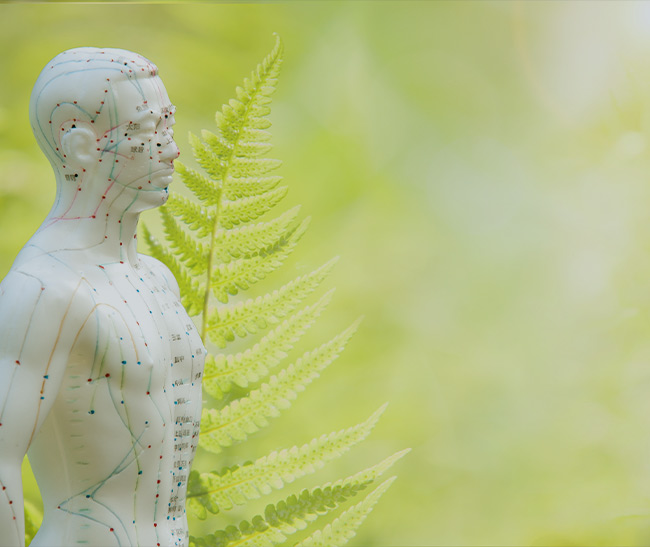 Physiotherapiepraxis Kronenberg Heilpraktiker